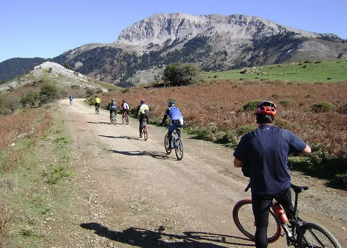 Avantis Ξενοδοχείο 4*