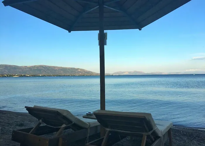 Ξενοδοχείο Avantis